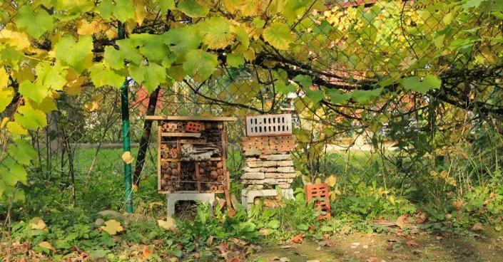 Hmyzí domečky Hmyzí domečky