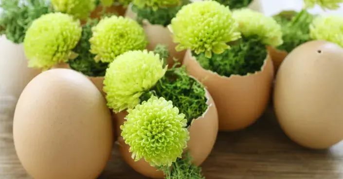 Květy ve skořápkách Květy ve skořápkách