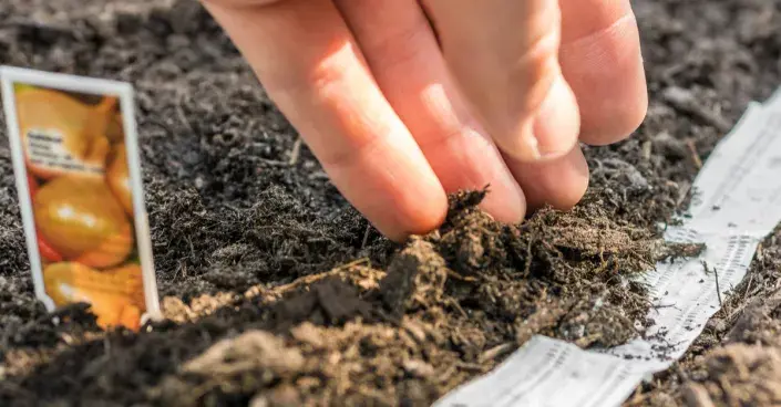 Výsevní páska Výsevní páska