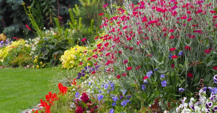 Rozkvetlý záhon Rozkvetlý záhon