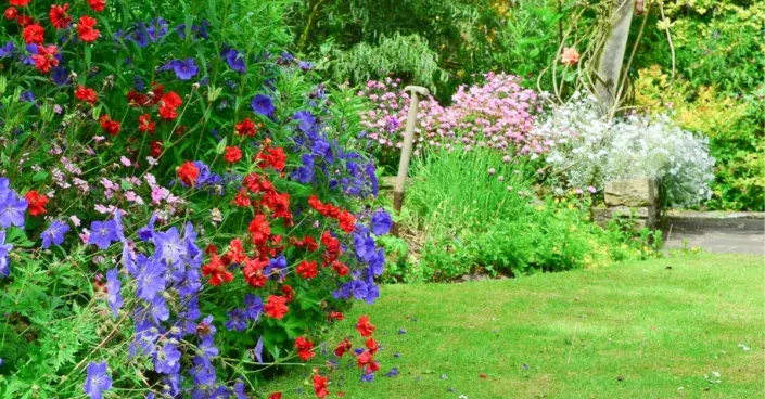 Rozkvetlé záhony Rozkvetlé záhony