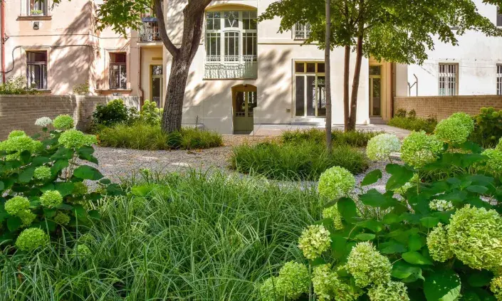 Hortenzie ve staromilské zahradě