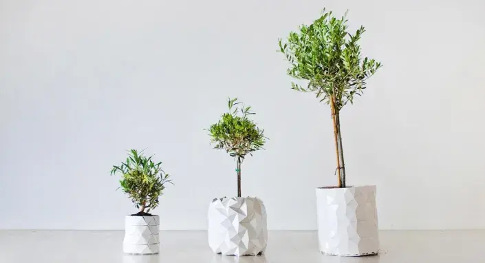 Květináč Growth Květináč Growth