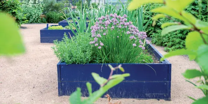 Vyvýšené záhony Vyvýšené záhony