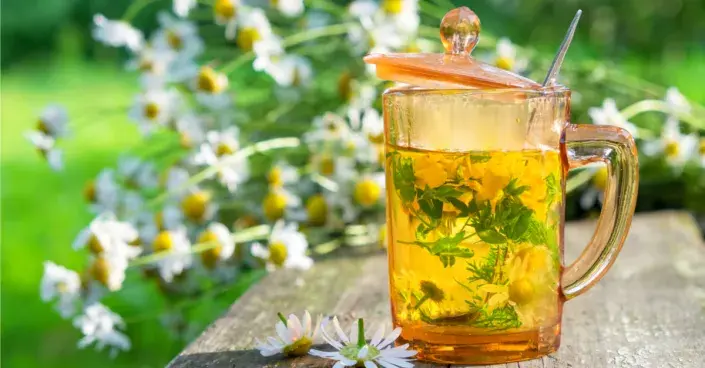Heřmánkový čaj Heřmánkový čaj