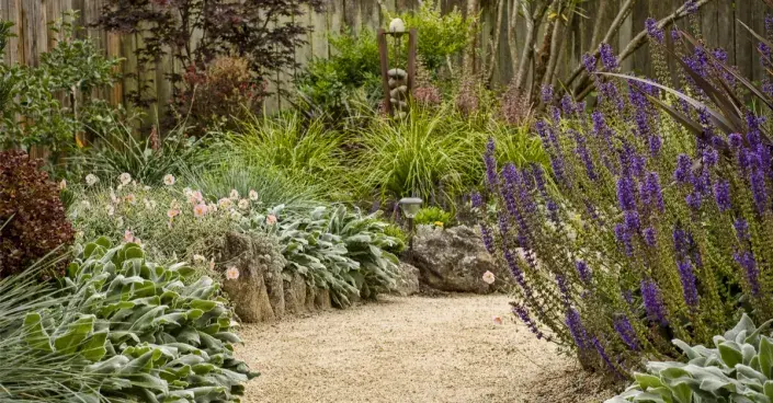 Opakování barev v malé zahradě Opakování barev v malé zahradě