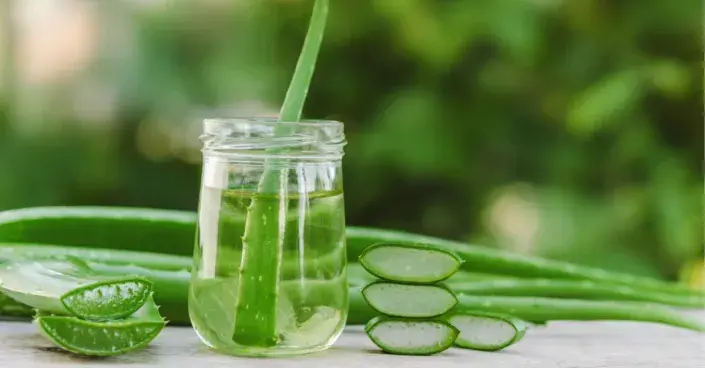 List aloe vera List aloe vera