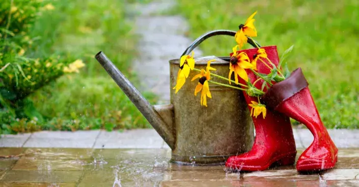 Konev a holinky na zahradě v dešti Konev a holinky na zahradě v dešti