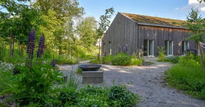 Patrovitá výsadba rostlin Patrovitá výsadba rostlin