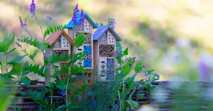 Hmyzí hotel Hmyzí hotel