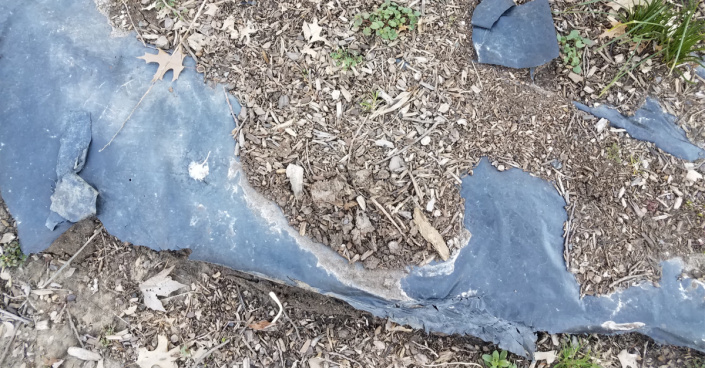 Potrhaná mulčovací plachetka Potrhaná mulčovací plachetka