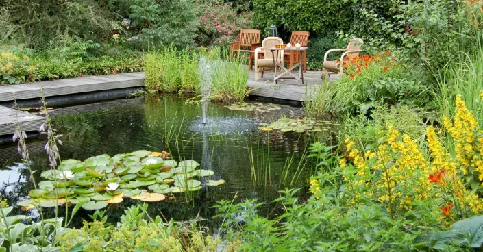 Zahradní jezírko Zahradní jezírko