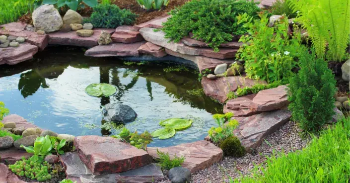 Malé zahradní jezírko Malé zahradní jezírko