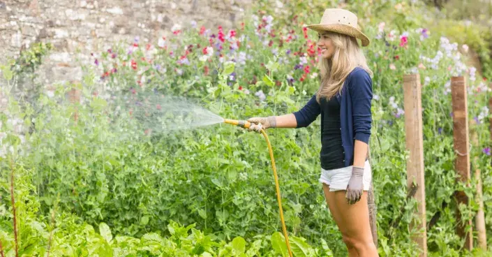 Zalévání zahradní hadicí