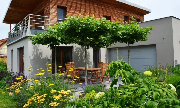 Pergola z platanů Pergola z platanů