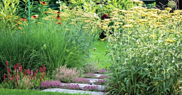 Suchomilná výsadba Suchomilná výsadba