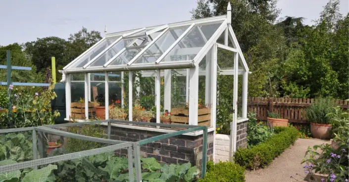 Skleník v zeleninové zahradě Skleník s podezdívkou