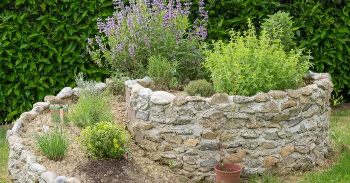 Bylinková spirála Bylinková spirála