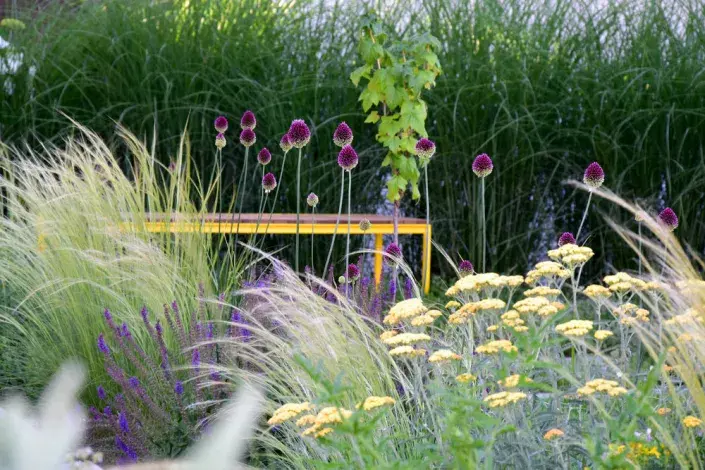 Trvalková výsadba v „openspace" Trvalková výsadba v „openspace"