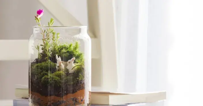 Osázená skleněná nádoba Osázená skleněná nádoba