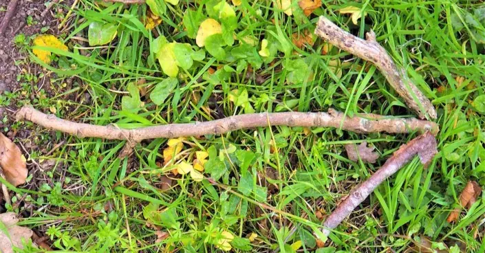 Šipka z větviček Šipka z větviček