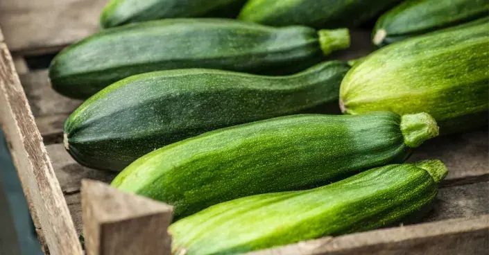 Sklizené cukety Sklizené cukety