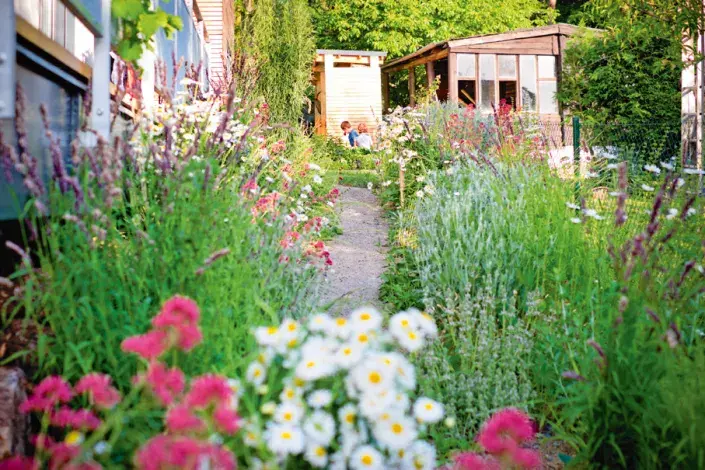 Děti mezi záhony Děti mezi záhony