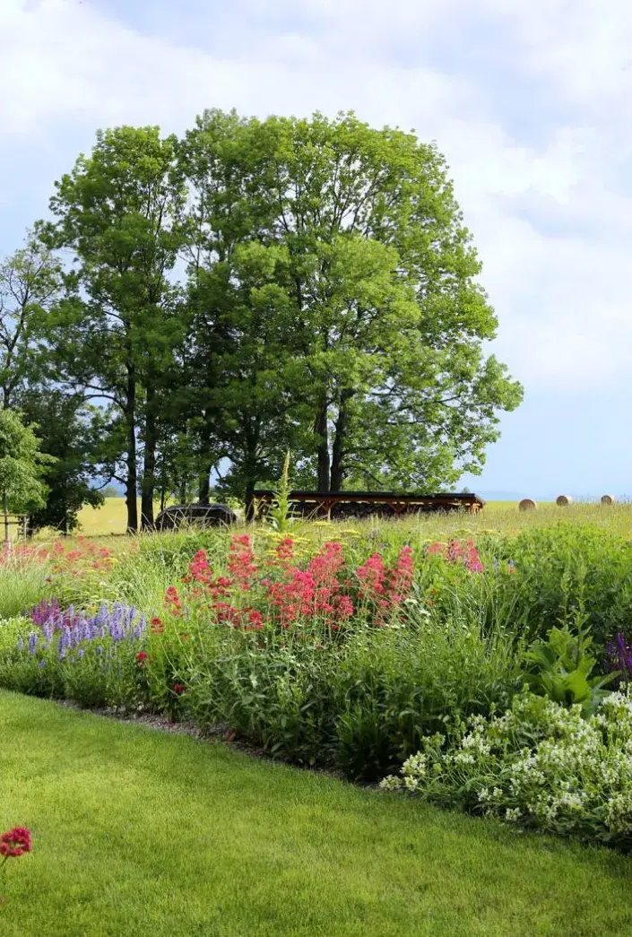 Záhony trvalek Záhony trvalek