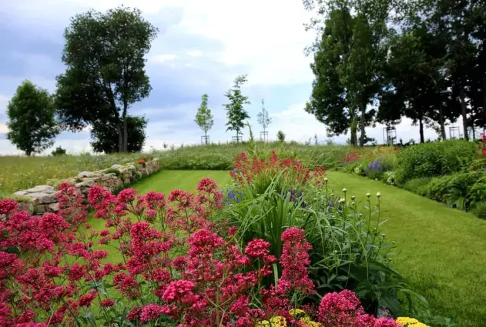 Okrasná výsadba Okrasná výsadba