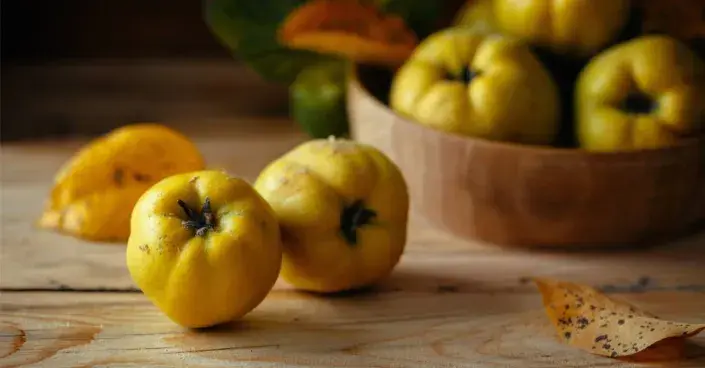 Žluté kdoule Žluté kdoule