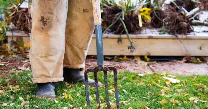 Rycí vidle Rycí vidle