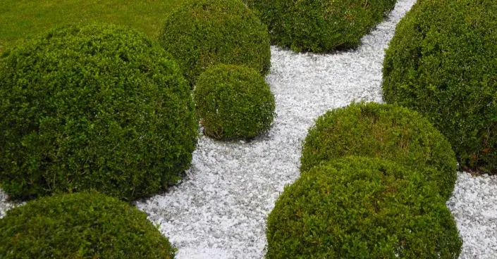 Šterkový záhon Štěrkový záhon