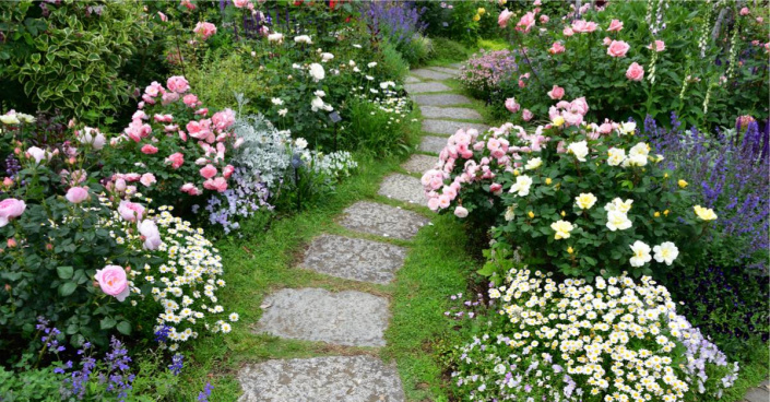 Cesta růžovou zahradou