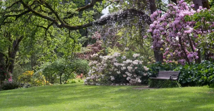 Zahradní zákoutí Zahradní zákoutí