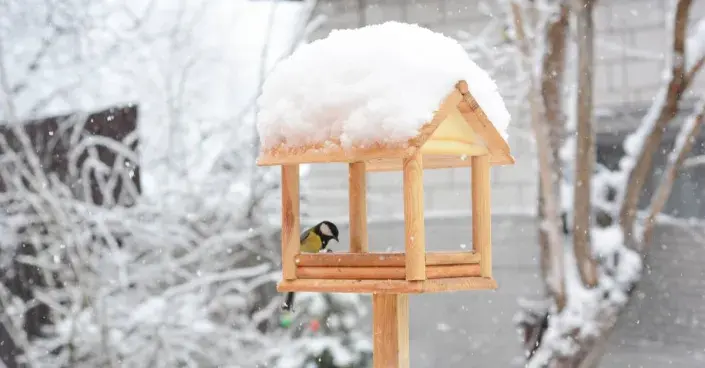 Zasněžené ptačí krmítko se sýkorou koňadrou Zasněžené ptačí krmítko se sýkorou koňadrou