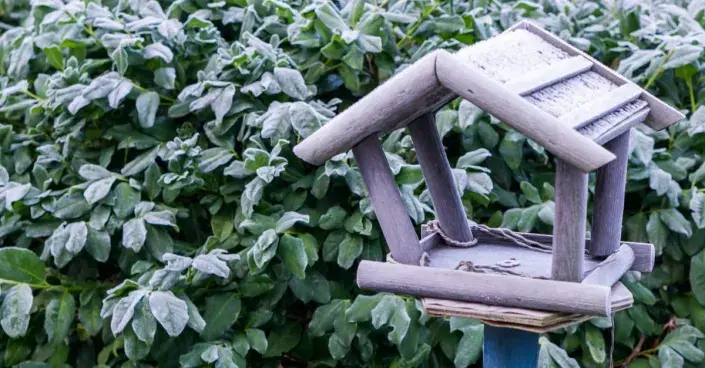 Ptačí krmítko Ptačí krmítko