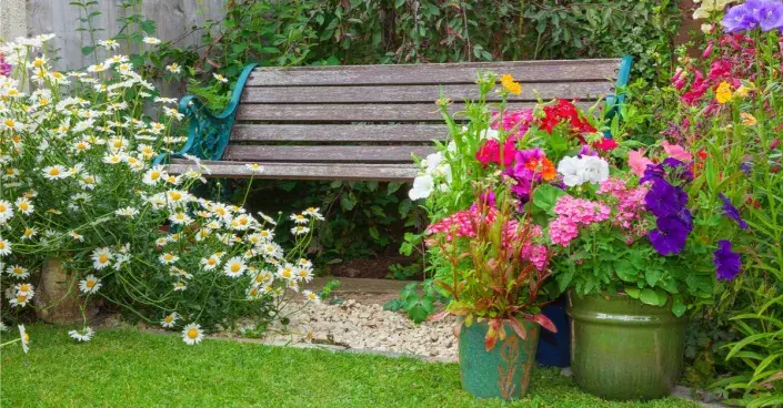 Lavička uprostřed květin