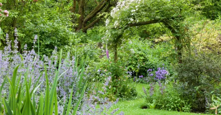 Zahradní oblouk Zahradní oblouk