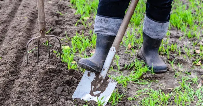 Odstraňování travního drnu Odstraňování travního drnu