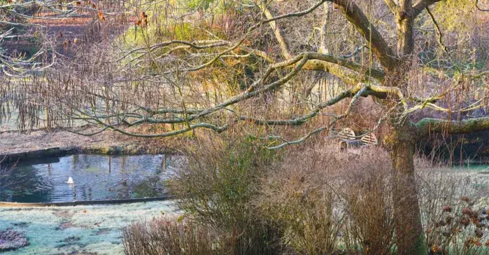 Jezírko v zimní zahradě