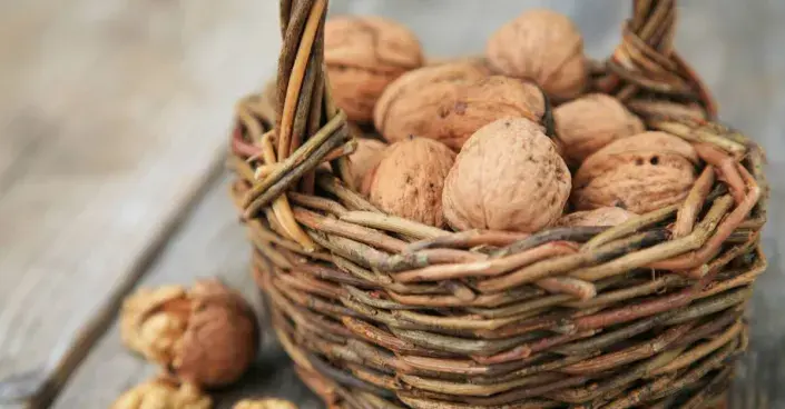 Vlašské ořechy v košíku Vlašské ořechy v košíku