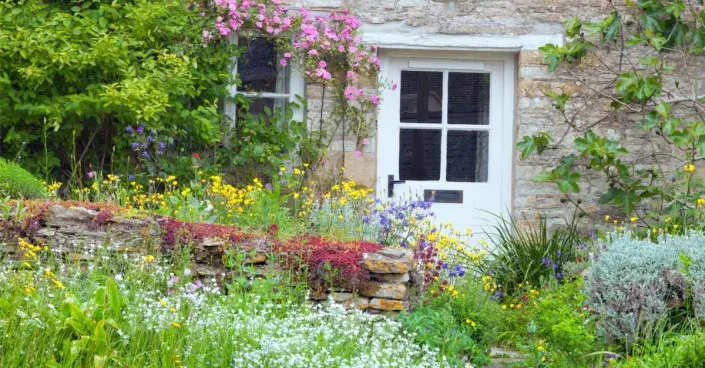 Rozkvetlý dvorek Rozkvetlý dvorek