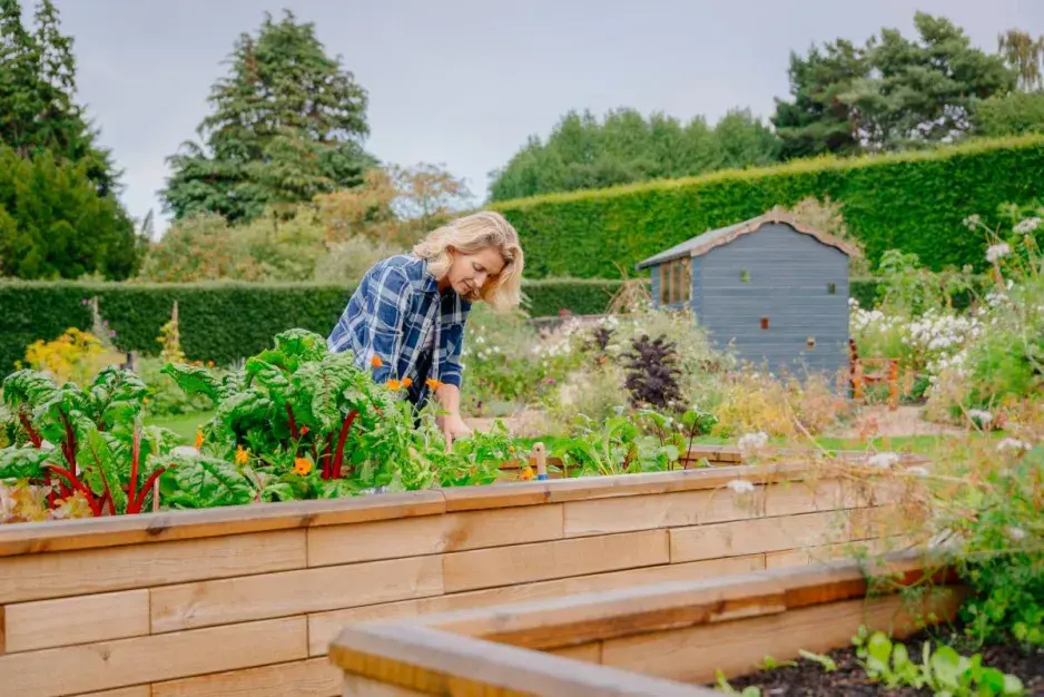 Stavebnicový systém WoodBlocX