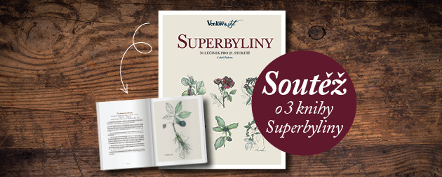 Kniha Superbyliny