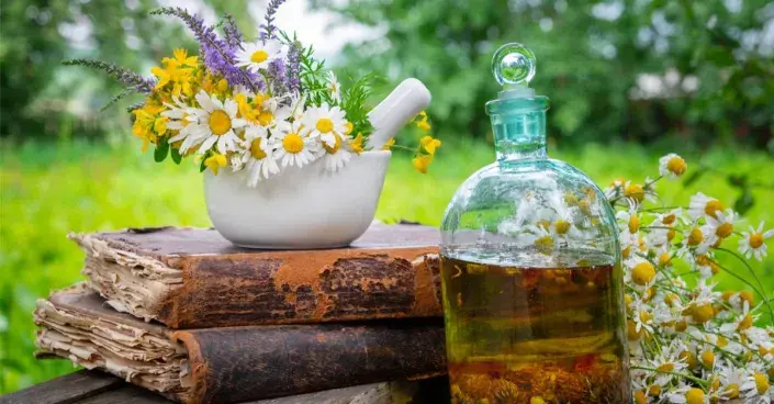 Léčivé byliny Léčivé byliny