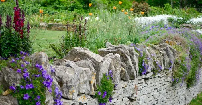 Suchá zídka Suchá zídka