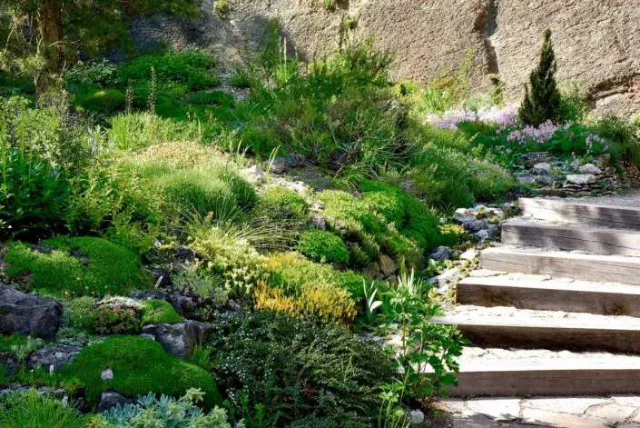 Schody v zahradě Schody v zahradě