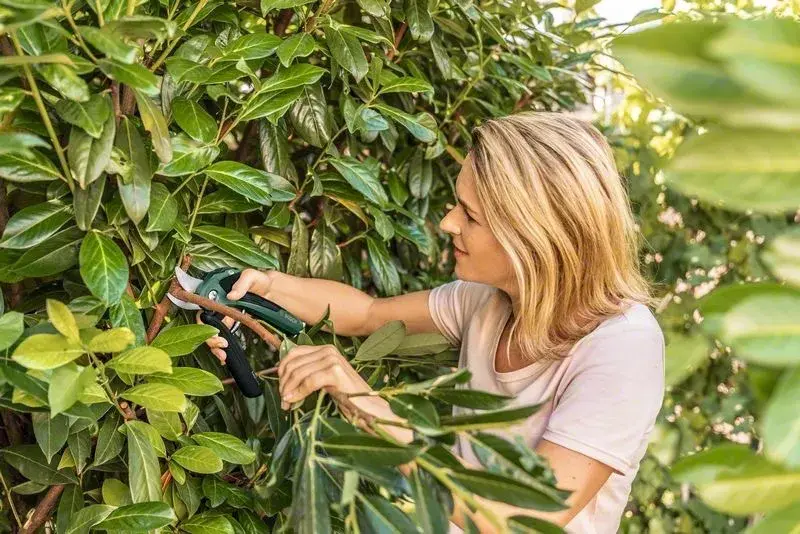 Aku-nůžky EasyPrune