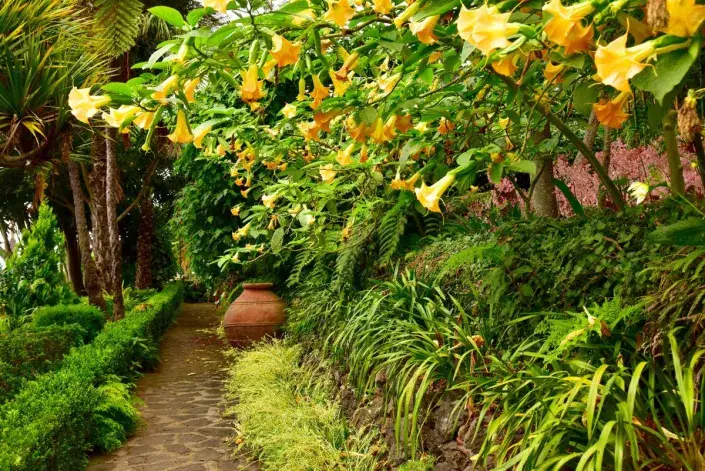 Monte Palace Tropical Garden