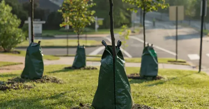 Zavlažovací vaky Zavlažovací vaky